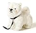 Uni-Toys - Chow Chow weiß, stehend, mit Leine - 24 cm (Höhe) - Plüsch-Hund, Haustier - Plüschtier, Kuscheltier
