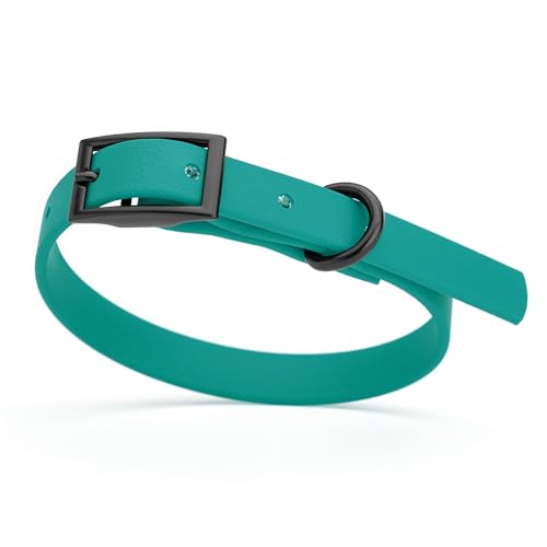 Image of Dogline Biothane Waterproof Dog Collar Strong Coated Nylon Webbing with Black Hardware Odor- Proof for Easy Care Easy to Clean High Performance Fits Small Medium or Large Dogs, Blue Aqua