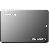 fanxiang S101 2TB SSD 550MB/s Lesen 500MB/s Schreiben