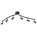 Six Light Bronze Directional Flush Mount