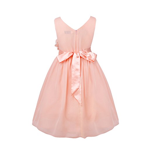 FEESHOW Girls Toddler Kids Flower Chiffon Pleated Bridesmaid Wedding Pageant Party Dress2