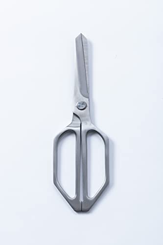 Edge of Belgravia Scissor All Purpose Kitchen Stainless Steel Scissor, Silver