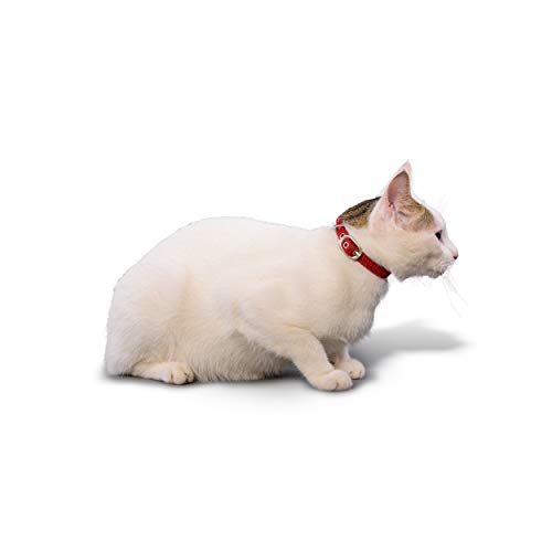 PetWale-Cat-Collar-Red