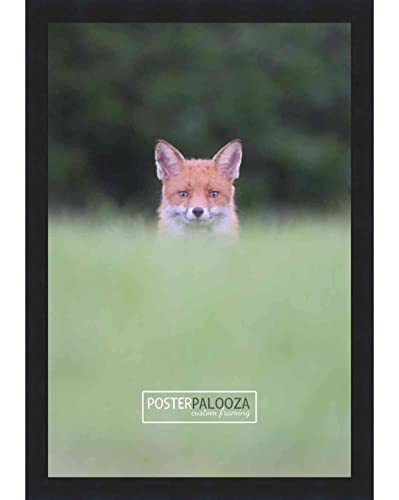 Poster Palooza 17X22 Contemporary Black Wood Picture Frame - Uv Acrylic, Foam Board Backing, & Hanging Hardware Included! #TOP2