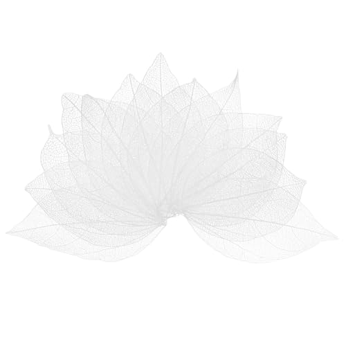 M METERXITY 100-Pack Skeleton Leaves, Natural Rubber Tree Dried Pressed Leaves Vein for Resin/DIY Crafts Card/Scrapbook/Wedding, Small Leaves Decorative [4-6cm, White]