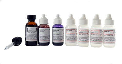 gram stain kit 7 dropper bottles - crystal violet 30ml safranin o 10 30ml potassium iodide 185 30ml 95 denatured ethyl alcohol 4x25ml - includes instructions - innovating science