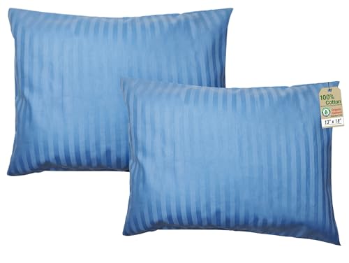 ZPECC Toddler Pillow with Pillowcase 2 Pack - 13x18 Organic Cotton Hypoallergenic Kids Pillow, Baby Essentials for Travel Crib Daycare Stroller (Intended for Age 2 and up) Blue Stripe