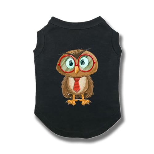 ZSDGBZ  ėp ⊴ TVc ^  ʋC  ΍ p^Ngbv t Ă΍ 畆ی X|[cEFA  JWA Lk  o U XS