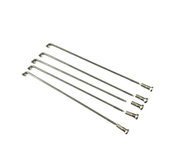 Kit 5 Raggi Raggio 5 Nipples 160 x 3 mm per Ruota Cerchio Posteriore Ciclomotore Ciao C7 Px Pxv P Pv Sc R ecc