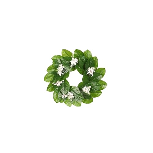 Couronne de fleurs extérieure durable : protégez votre décoration de porte de Noël, lot de 2