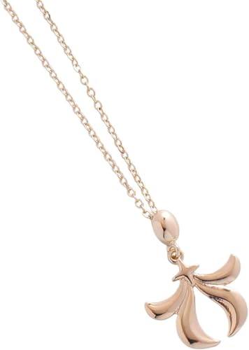 Skyaqǂ ӂ̋G lbNX y_g G ObY RXv    ANZT[ fB[X Y (1) [sAi]