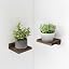 Pack of 2