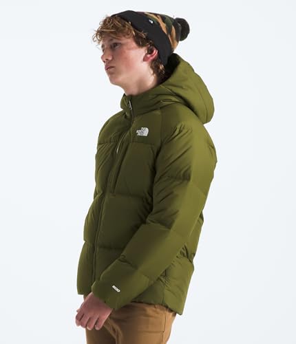 Image of The North Face Boy's Reversible North Down Hooded Jacket (Little Kids /Big Kids)