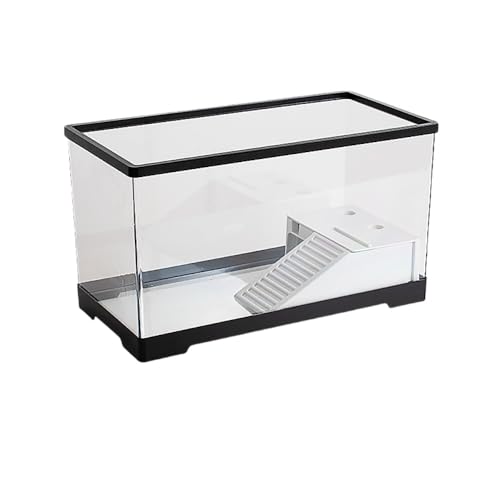 ArfobugJƒpԃANvX`bN琅oRj[tAzrO[A^AJِnA360xr[J (L)