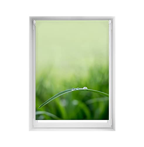 Easy Tende senza forature Stampate - Tenda traslucida con stampa digitale silenziosa 110 x 150 cm larghezza per altezza . Dimensioni del tessuto: 107 x 145 cm