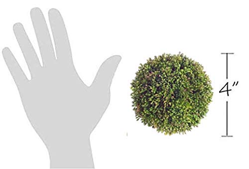 The Bridge Collection Faux Sedum Succulent Orb Ornaments, Set Of 2 #TOP1