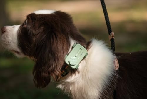PetPhone, cerca GPS para cães, coleira com cerca sem fio para cães baseada em aplicativo, sistema GP