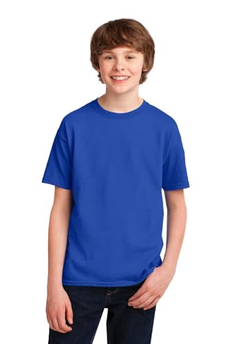 Performance T-Shirt (G420B) Royal Blue, M3