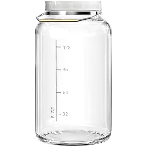 Qianfenie 1 Pack 1.5 Gallon(5700ML) Glass Jar with Screw Lid, BPA Free and Dishwasher Safe, Wide Mouth Glass Canister with Stainless Steel Handle, Large Mason Jar Wide Mouth for Kitchen Food Storage Cover