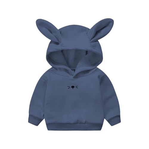 Toddler Boy Girl Fall Outfit Long Rabbit Ear Hoodie Sweatshirt Pullover Long Sleeve Cute Bunny Hooded Outfit Tops