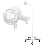 CHENNTAI 12W LED Medical Examination Light,Mobile Exam Lamp with Stainless Steel 5-Leg Base