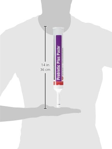 Miniatura 2 de Vet's Plus 048653 Probiotic Plus Pasta, 10.1 fl oz