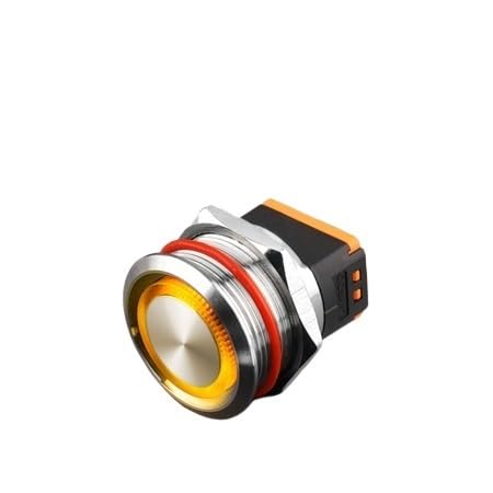 Interrupteur 15A momentané 25mm bouton poussoir 220V LED pour panneau