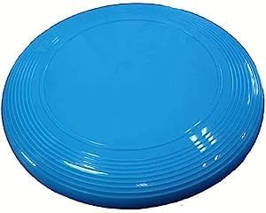 Esybuy Store Youniq Plastic Frisbee - JD30 (Blue) (B0CF9VHB2J) Amazon Price History, Amazon Price Tracker