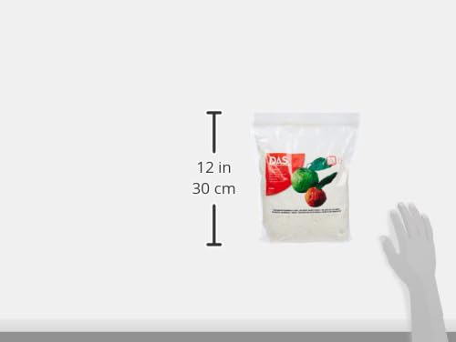 DAS Giotto 6860 00 - Papier Mache - Beutel mit 1.000 gramm, 24.0 x 33.0 x 10.0 cm