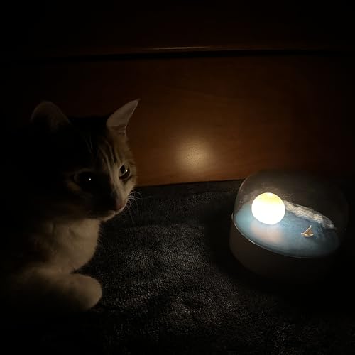 Image of Elegant Moon Sea and Snow Mountain LED Night Light Lamp USB Type-C Rechargeable, Brightness Adjustable, Two Mode can be Switched, Ideal Bedroom Mood Light and Gift