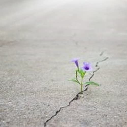 Episode 45: Hope in Action is Prayer