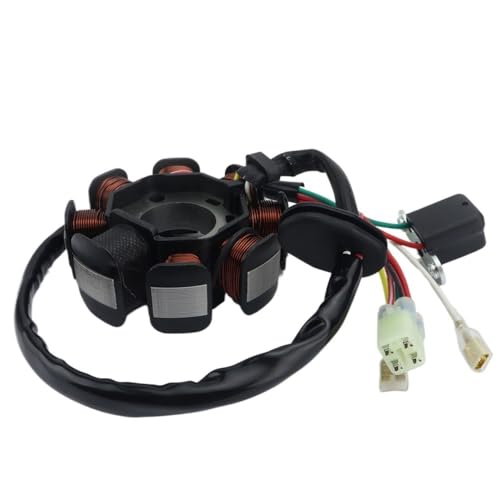 Bobine de stator 55139004100 haute performance pour TX300 et XC 250cc