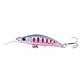 Optischer Effekt Des Lockens Von Fischen.