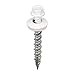 ACORN INTERNATIONAL SW-MW1BW250 Screw, 9 x 1, Bright White, 250 Count