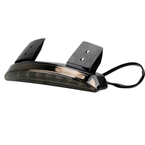 Feux arrière garde-boue de bord LED au fini soigné pour motos de caractère
