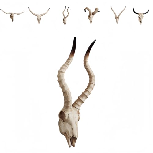 ShineLuxeǊ|NGCeBuV~[VɗDfޓ̓W3DǑ[bpX^C̃z[ANZT[ (C 57*22*13cm)