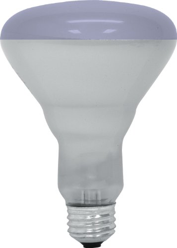 Best Flood Light For Plants