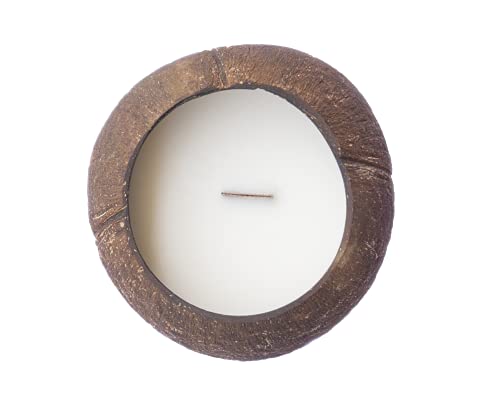 Eco Four Twenty Natural Coconut Candle in a Real Coconut! Mixture of Natural Coconut and Soy Wax - Burns Over 40 Hours! (Natural Coconut Scent)