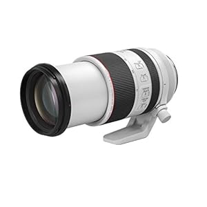Canon RF70-200mm F2.8 L is USM Lens — photo 5 of 6