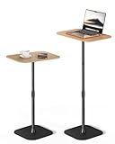 Viozon Floor Laptop Stand for Bed,Laptop Table, Small & Portable Standing Desk with Adjustable Height 26.7