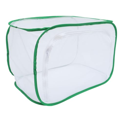 Cage à insectes maille fine contre l'évasion des chenilles pour un élevage réussi à coup sûr