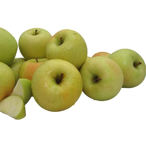Kauffman Orchards Fresh Golden Delicious Apples, Hand-Picked, Non-Waxed, Grown in Pennsylvania (Box of...