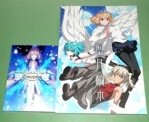 Amazon.co.jp: コミケ100 C100 竹箒 型月稿本 Avalon le Fae Synopsys