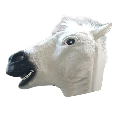   nEB Aj}}XN ʕ  ʐ^Be n ebNX p[eBObY ǂ |