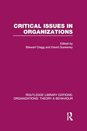 Critical Issues in Organizations Critical Issues in Organizations book cover
