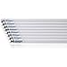 Amazon Basics Professional Lot de 8 tubes LED T8 600 mm 800 lumens 8 W (équivaut à 18 W) Blanc froid 6500 K G13
