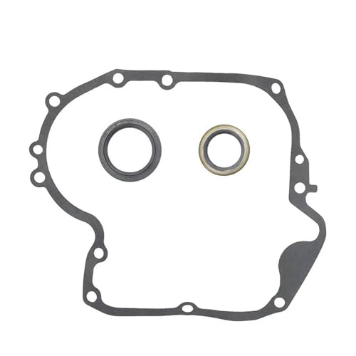 Ensemble de joints carter et huile pour moteur thermique 697110 795387