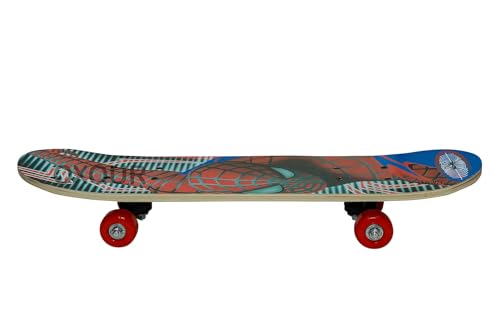 Image of Portable Skateboard, 4 Wheels Skate Boards, Mini Cruiser Skateboard, Beginners Long Board, for Kids /Adults-Multi Color (Money Heist skert)
