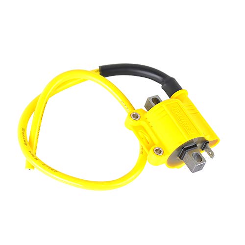 Nibbi Performance Ignition Coil Fit For 4T Carburetor Motorcycle #TOP1