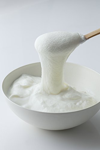 岩泉ヨーグルトＰＲＥＭＩＵＭプレーン900g 2枚目